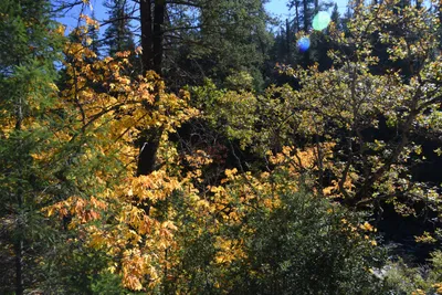 DSC_6457 (Large).JPG